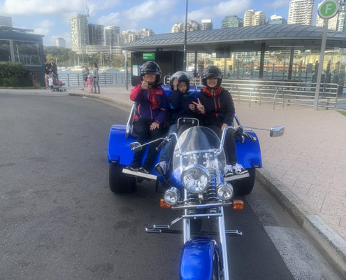 Harbour Bridge sightseeing trike tour