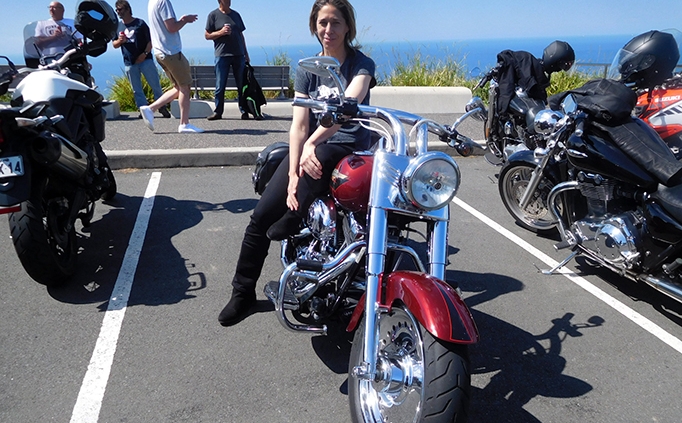 Southern Sydney Harley tour. An escapade from real life.