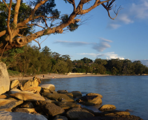 Sydney's Best Parks and Gardens: Tours for Nature Lovers That Save You Money